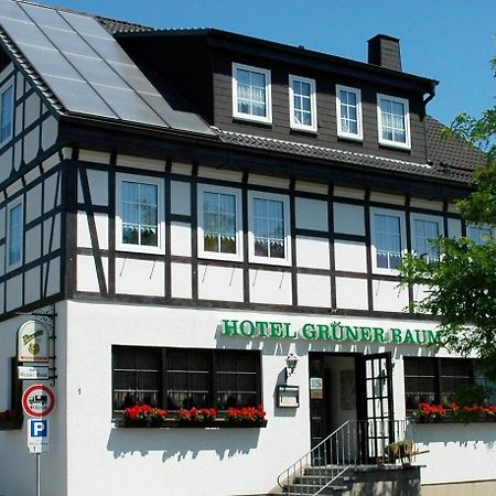 Hotel Grüner Baum Stollberg/Erzgeb. Exterior foto