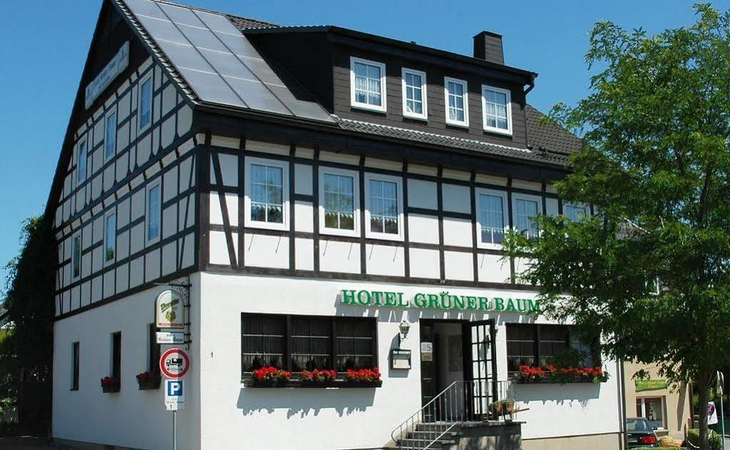 Hotel Grüner Baum Stollberg/Erzgeb. Exterior foto